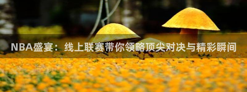 NBA盛宴：线上联赛带你领略顶尖对决与精彩瞬间