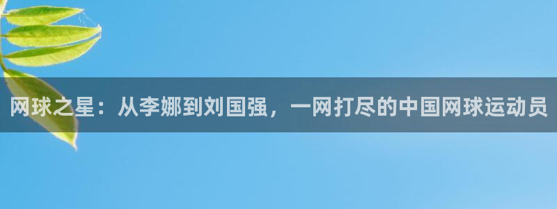 网球之星：从李娜到刘国强，一网打尽的中国网球运动员